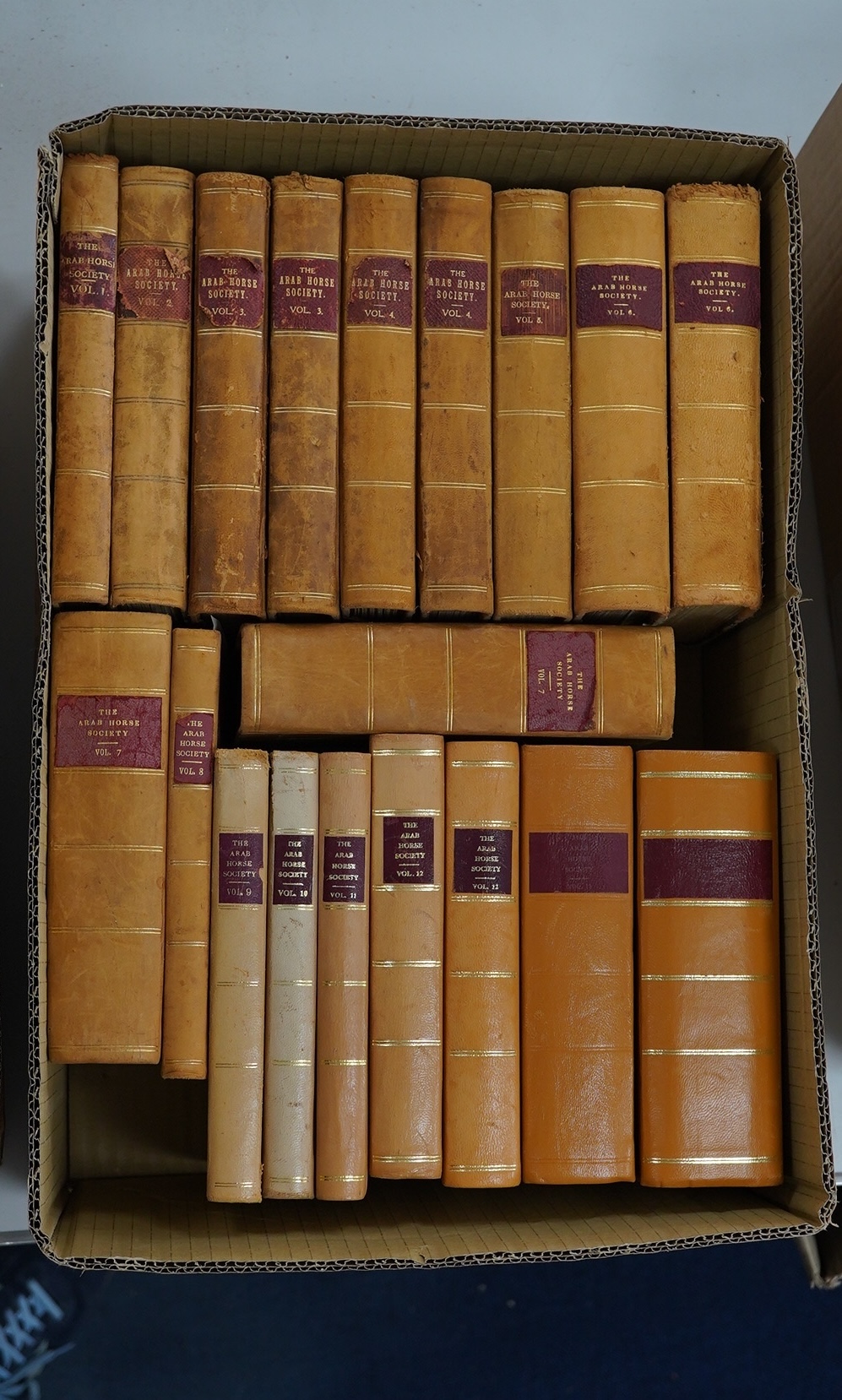 The Arab Horse Stud Book. first editions, vols. 1-14. photo. plates; original half calf marbled boards, gilt ruled spines with red labels, cr.8vo. Lewes, 1919-1982. *some earlier vols. with num. marginal ms. amendments (